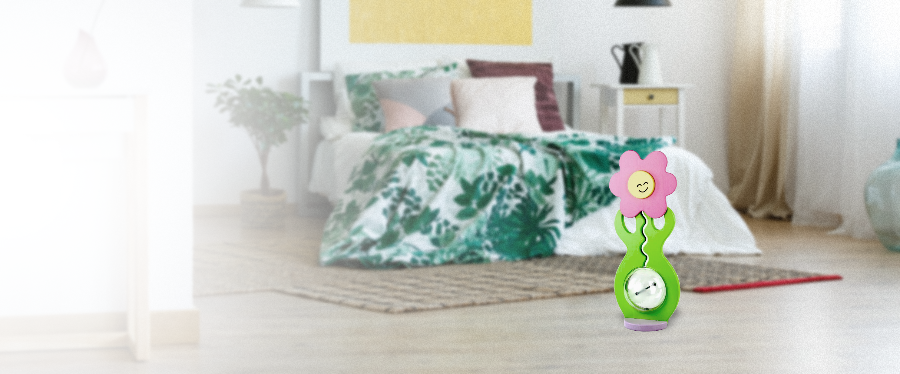 flower big belly bank in room