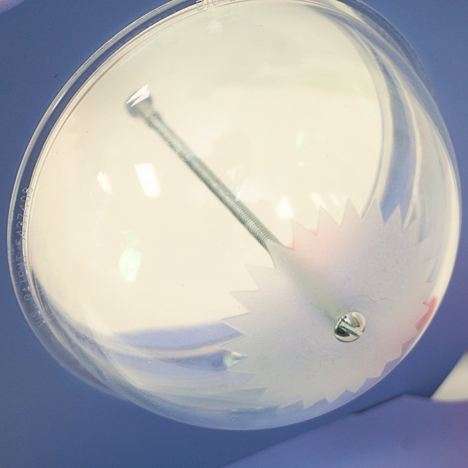 Belly Close Up Purple Dino